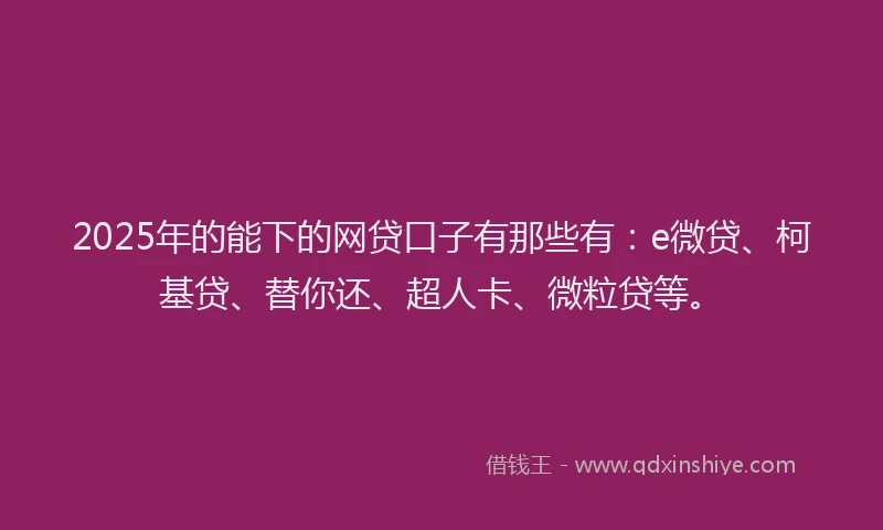 2025年的能下的网贷口子有那些有：e微贷、柯基贷、替你还、超人卡、微粒贷等。