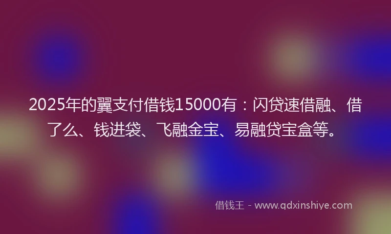 2025年的翼支付借钱15000有：闪贷速借融、借了么、钱进袋、飞融金宝、易融贷宝盒等。