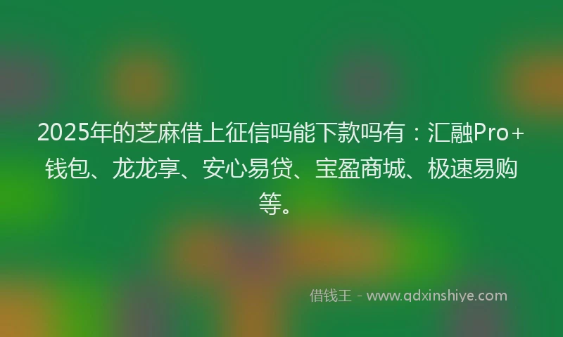 2025年的芝麻借上征信吗能下款吗有：汇融Pro+钱包、龙龙享、安心易贷、宝盈商城、极速易购等。