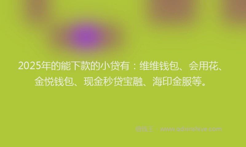 2025年的能下款的小贷有：维维钱包、会用花、金悦钱包、现金秒贷宝融、海印金服等。