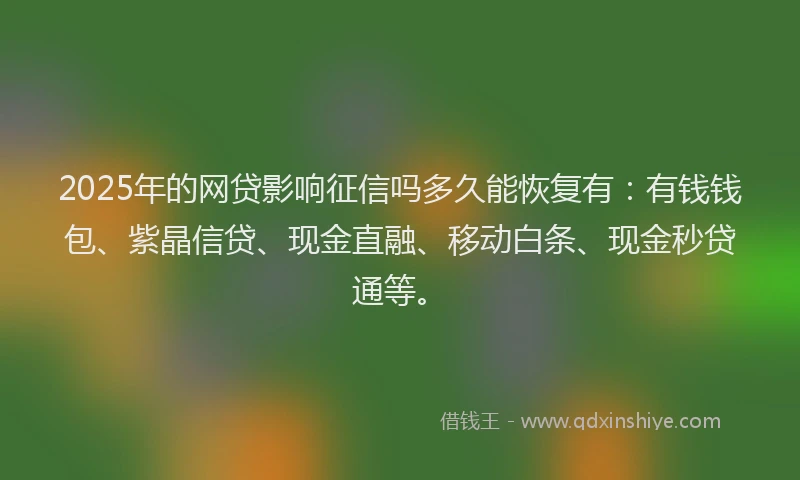 2025年的网贷影响征信吗多久能恢复有：有钱钱包、紫晶信贷、现金直融、移动白条、现金秒贷通等。