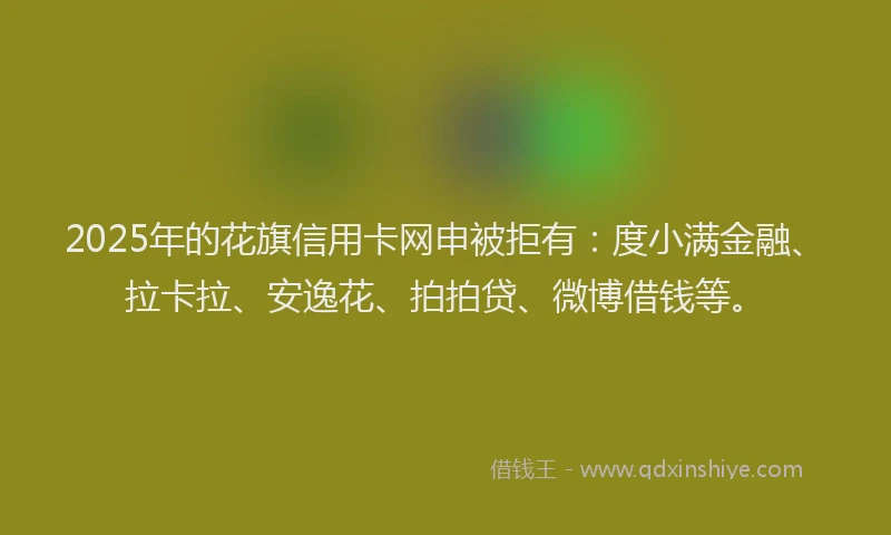 2025年的花旗信用卡网申被拒有：度小满金融、拉卡拉、安逸花、拍拍贷、微博借钱等。