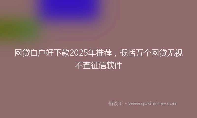 网贷白户好下款2025年推荐，概括五个网贷无视不查征信软件