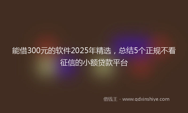 能借300元的软件2025年精选，总结5个正规不看征信的小额贷款平台