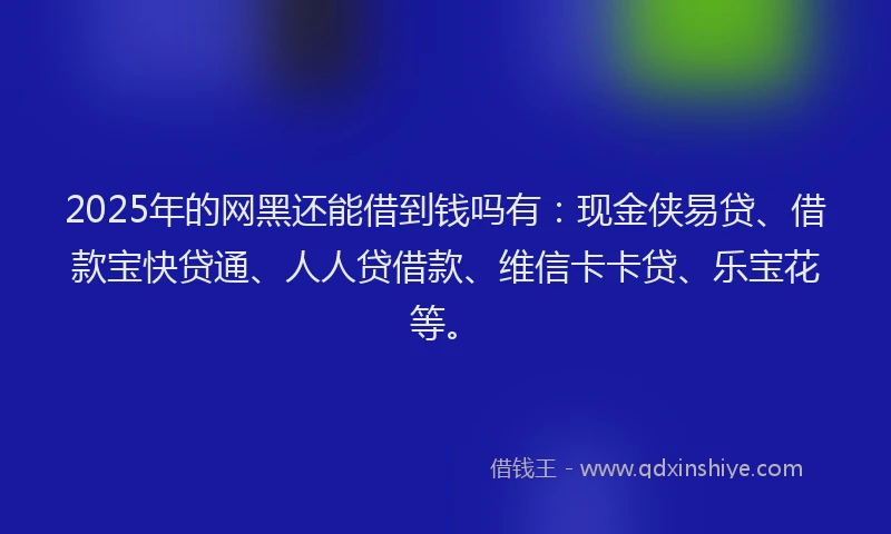 2025年的网黑还能借到钱吗有：现金侠易贷、借款宝快贷通、人人贷借款、维信卡卡贷、乐宝花等。