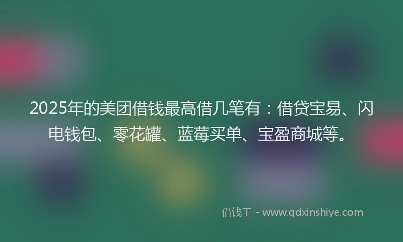 2025年的美团借钱最高借几笔有：借贷宝易、闪电钱包、零花罐、蓝莓买单、宝盈商城等。