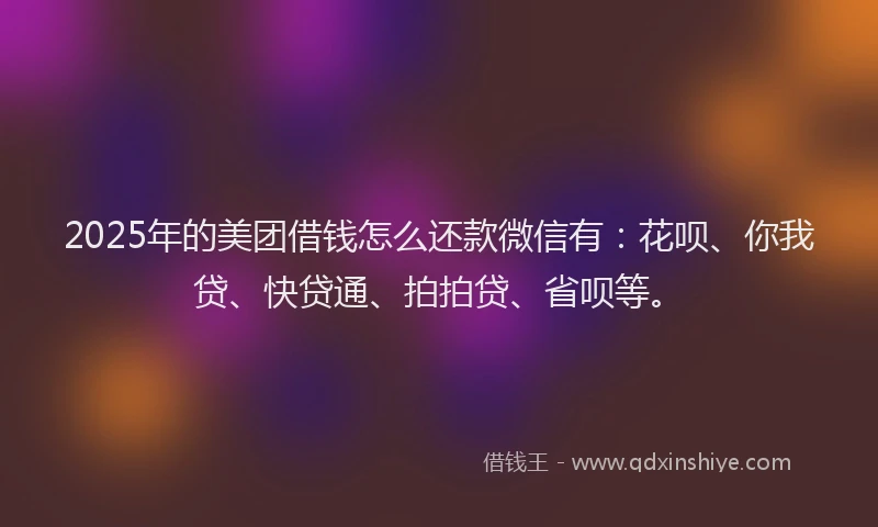 2025年的美团借钱怎么还款微信有：花呗、你我贷、快贷通、拍拍贷、省呗等。
