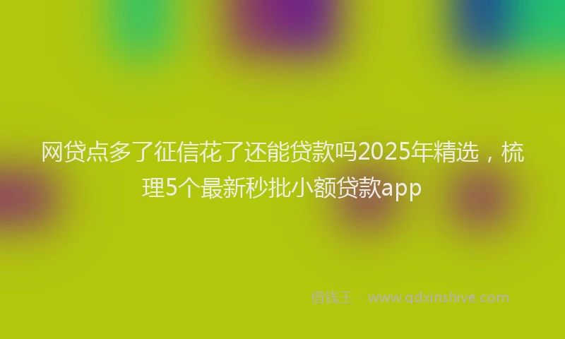 网贷点多了征信花了还能贷款吗2025年精选，梳理5个最新秒批小额贷款app