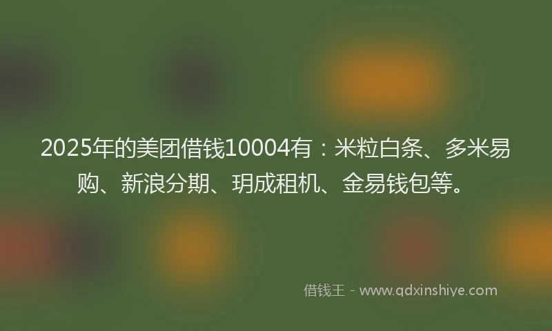 2025年的美团借钱10004有：米粒白条、多米易购、新浪分期、玥成租机、金易钱包等。