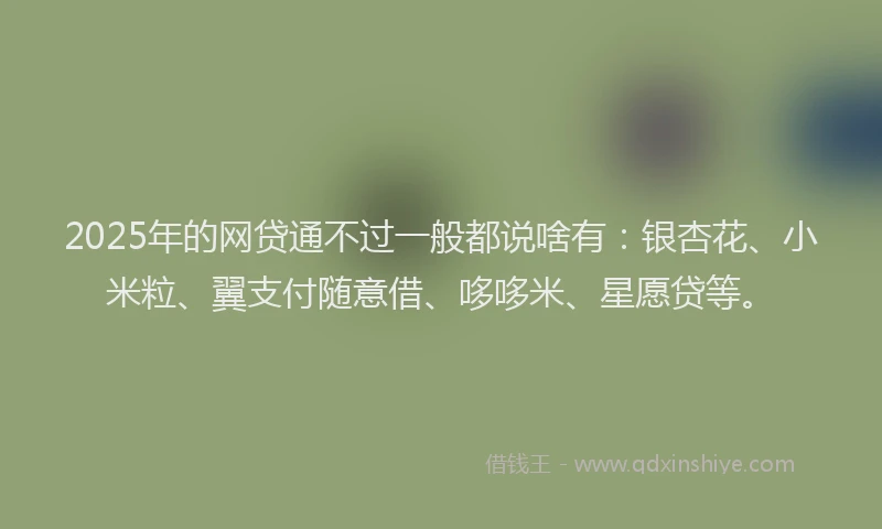 2025年的网贷通不过一般都说啥有：银杏花、小米粒、翼支付随意借、哆哆米、星愿贷等。