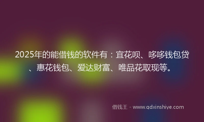 2025年的能借钱的软件有：宜花呗、哆哆钱包贷、惠花钱包、爱达财富、唯品花取现等。