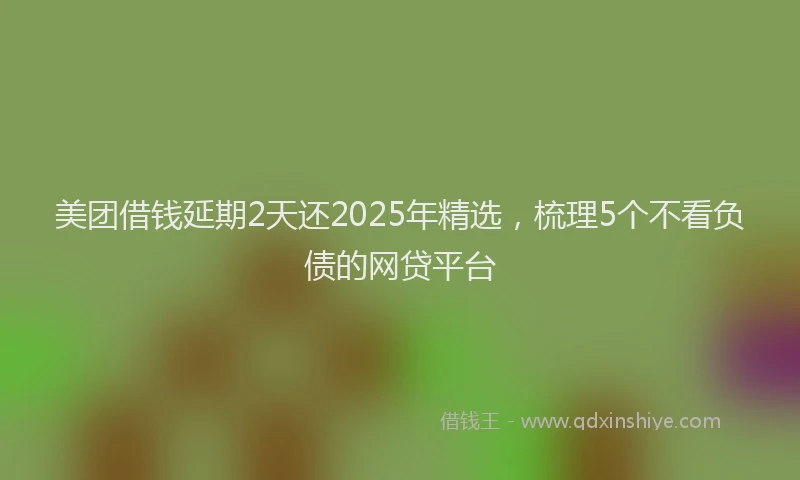 美团借钱延期2天还2025年精选，梳理5个不看负债的网贷平台