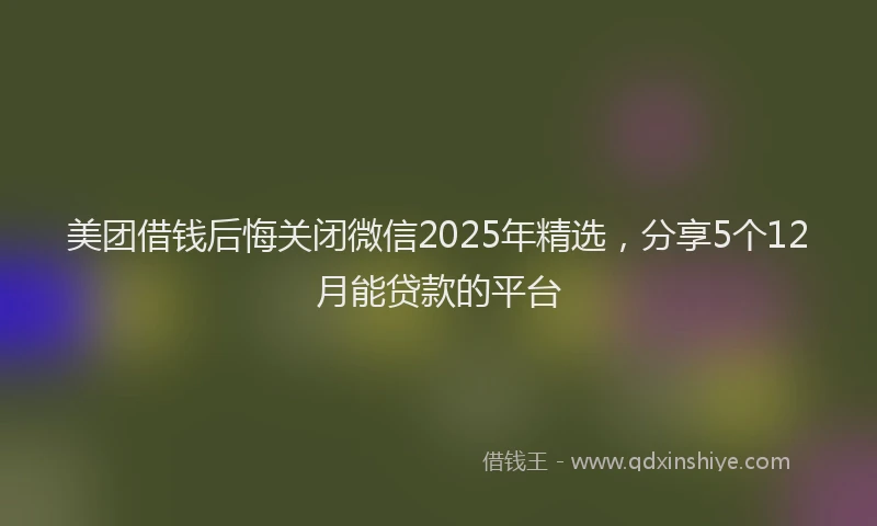 美团借钱后悔关闭微信2025年精选，分享5个12月能贷款的平台