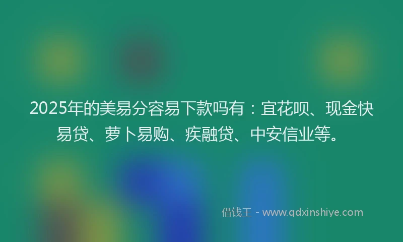 2025年的美易分容易下款吗有：宜花呗、现金快易贷、萝卜易购、疾融贷、中安信业等。