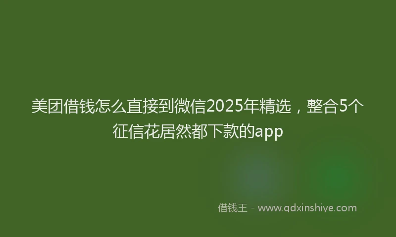 美团借钱怎么直接到微信2025年精选，整合5个征信花居然都下款的app