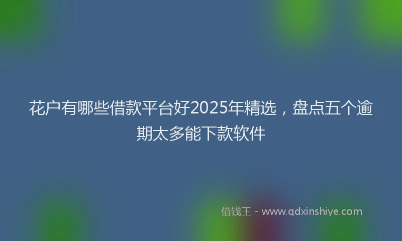花户有哪些借款平台好2025年精选，盘点五个逾期太多能下款软件
