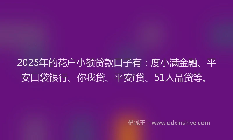 2025年的花户小额贷款口子有：度小满金融、平安口袋银行、你我贷、平安i贷、51人品贷等。