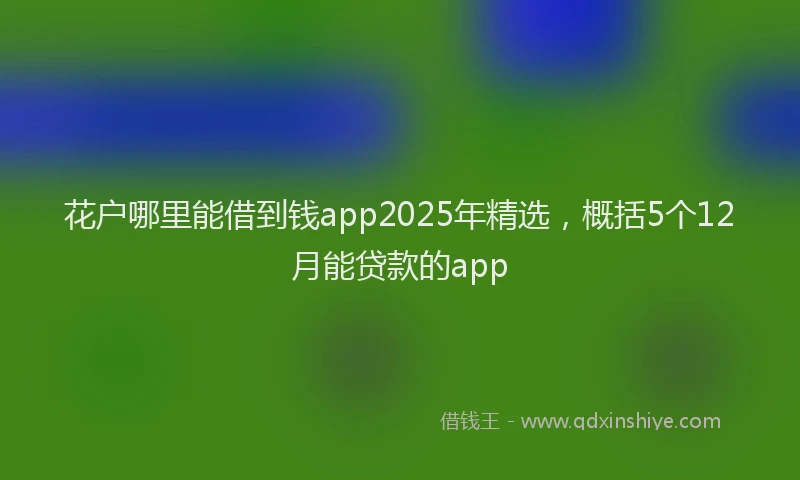 花户哪里能借到钱app2025年精选，概括5个12月能贷款的app