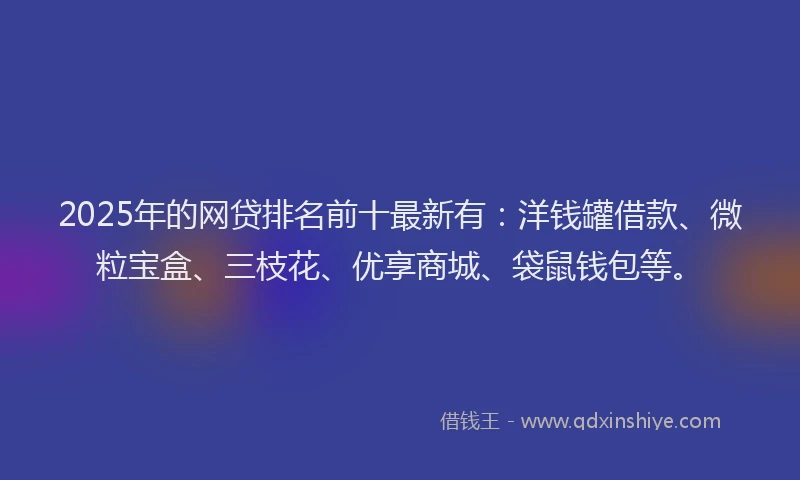 2025年的网贷排名前十最新有：洋钱罐借款、微粒宝盒、三枝花、优享商城、袋鼠钱包等。
