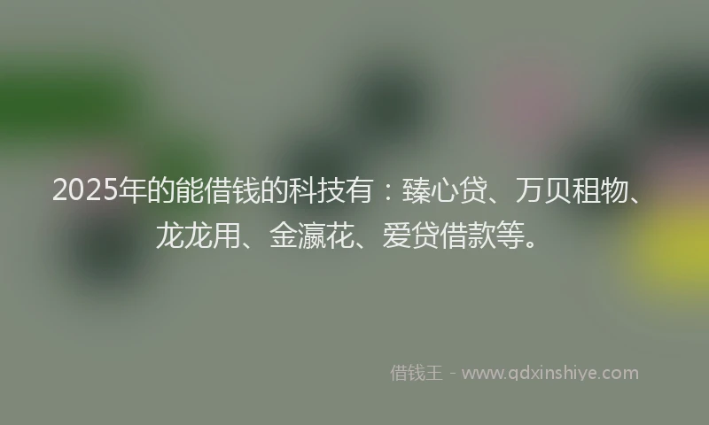 2025年的能借钱的科技有：臻心贷、万贝租物、龙龙用、金瀛花、爱贷借款等。