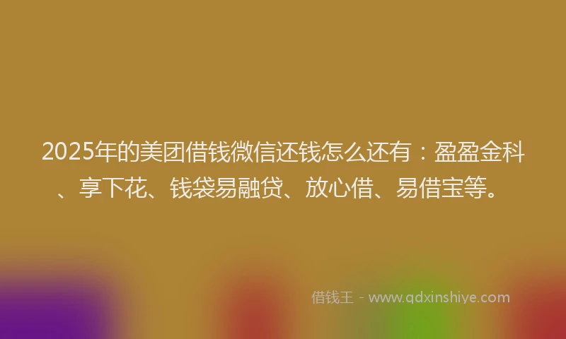 2025年的美团借钱微信还钱怎么还有：盈盈金科、享下花、钱袋易融贷、放心借、易借宝等。