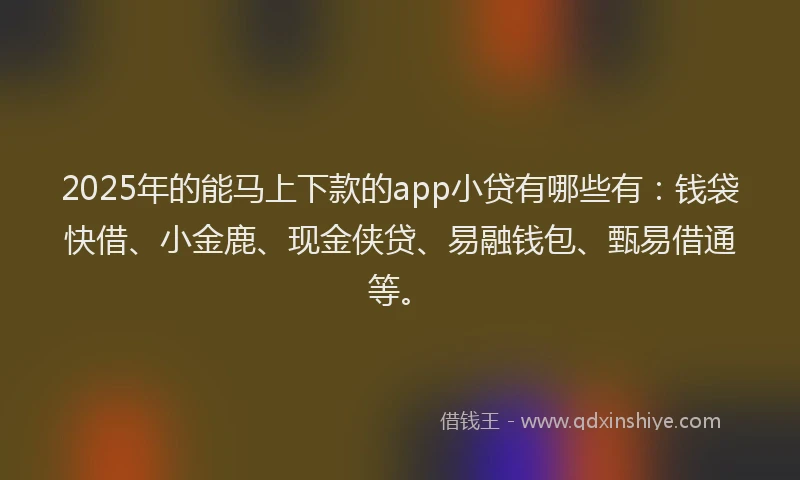2025年的能马上下款的app小贷有哪些有：钱袋快借、小金鹿、现金侠贷、易融钱包、甄易借通等。