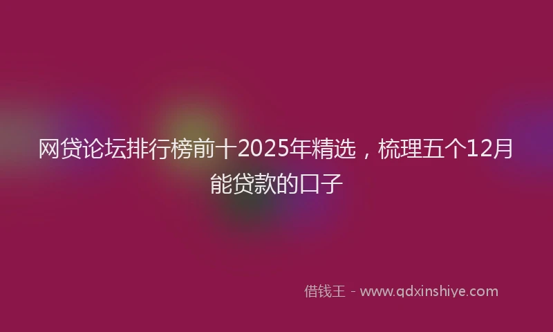 网贷论坛排行榜前十2025年精选，梳理五个12月能贷款的口子