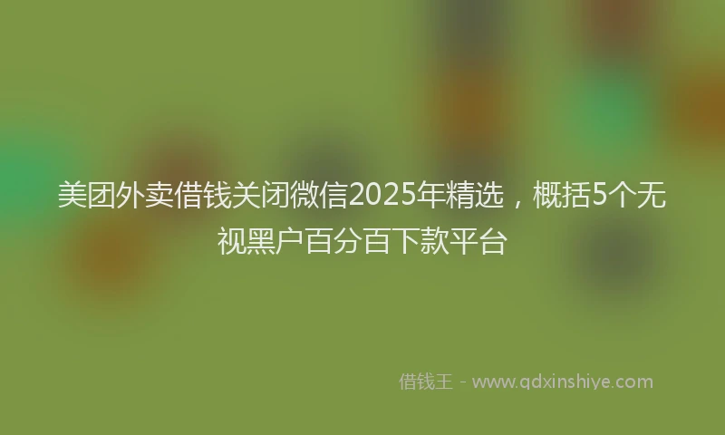 美团外卖借钱关闭微信2025年精选，概括5个无视黑户百分百下款平台