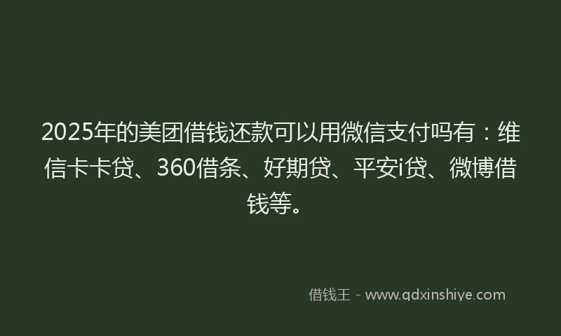 2025年的美团借钱还款可以用微信支付吗有：维信卡卡贷、360借条、好期贷、平安i贷、微博借钱等。