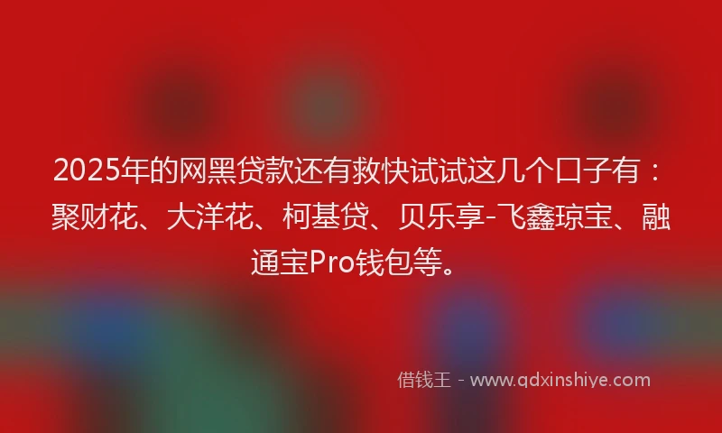 2025年的网黑贷款还有救快试试这几个口子有：聚财花、大洋花、柯基贷、贝乐享-飞鑫琼宝、融通宝Pro钱包等。