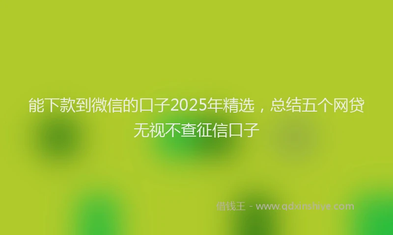 能下款到微信的口子2025年精选，总结五个网贷无视不查征信口子