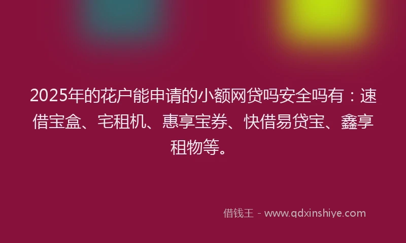 2025年的花户能申请的小额网贷吗安全吗有：速借宝盒、宅租机、惠享宝券、快借易贷宝、鑫享租物等。