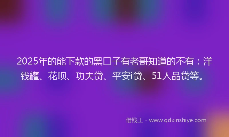2025年的能下款的黑口子有老哥知道的不有：洋钱罐、花呗、功夫贷、平安i贷、51人品贷等。