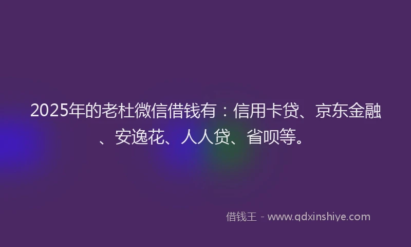 2025年的老杜微信借钱有：信用卡贷、京东金融、安逸花、人人贷、省呗等。