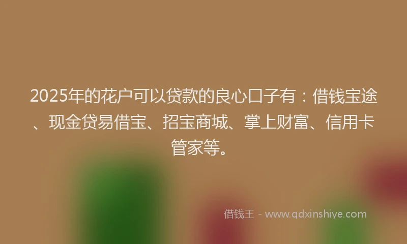 2025年的花户可以贷款的良心口子有：借钱宝途、现金贷易借宝、招宝商城、掌上财富、信用卡管家等。