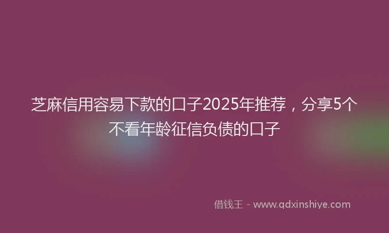 芝麻信用容易下款的口子2025年推荐，分享5个不看年龄征信负债的口子