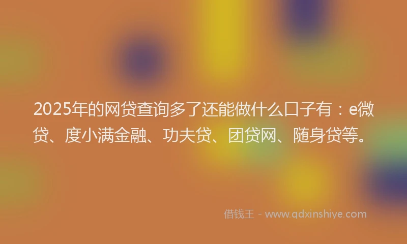 2025年的网贷查询多了还能做什么口子有：e微贷、度小满金融、功夫贷、团贷网、随身贷等。
