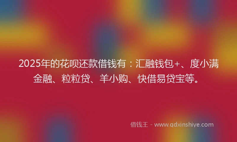2025年的花呗还款借钱有：汇融钱包+、度小满金融、粒粒贷、羊小购、快借易贷宝等。