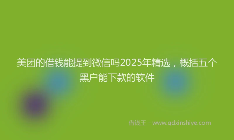 美团的借钱能提到微信吗2025年精选，概括五个黑户能下款的软件