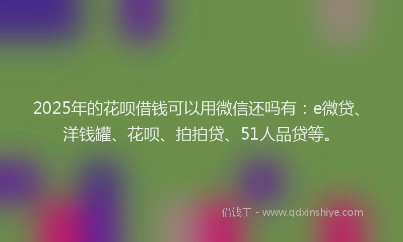 2025年的花呗借钱可以用微信还吗有：e微贷、洋钱罐、花呗、拍拍贷、51人品贷等。