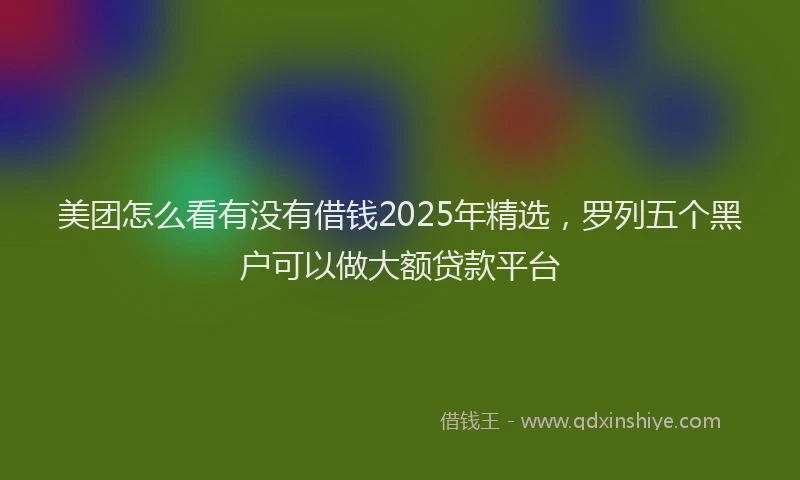 美团怎么看有没有借钱2025年精选，罗列五个黑户可以做大额贷款平台