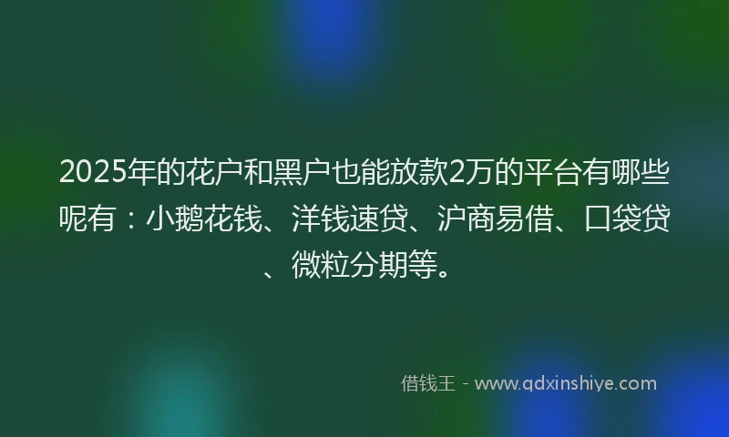 2025年的花户和黑户也能放款2万的平台有哪些呢有：小鹅花钱、洋钱速贷、沪商易借、口袋贷、微粒分期等。