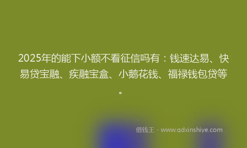 2025年的能下小额不看征信吗有：钱速达易、快易贷宝融、疾融宝盒、小鹅花钱、福禄钱包贷等。