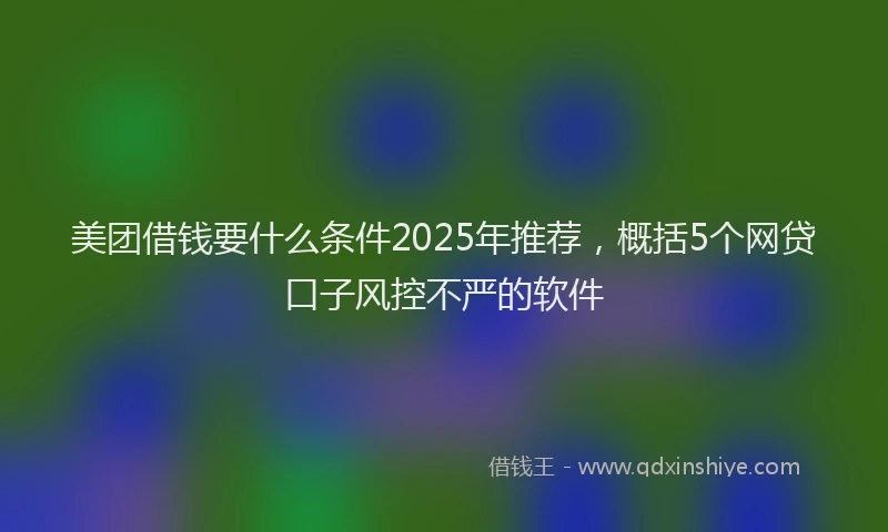 美团借钱要什么条件2025年推荐，概括5个网贷口子风控不严的软件