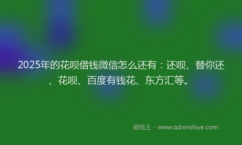 2025年的花呗借钱微信怎么还有：还呗、替你还、花呗、百度有钱花、东方汇等。