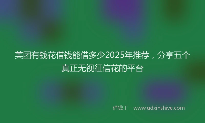 美团有钱花借钱能借多少2025年推荐，分享五个真正无视征信花的平台