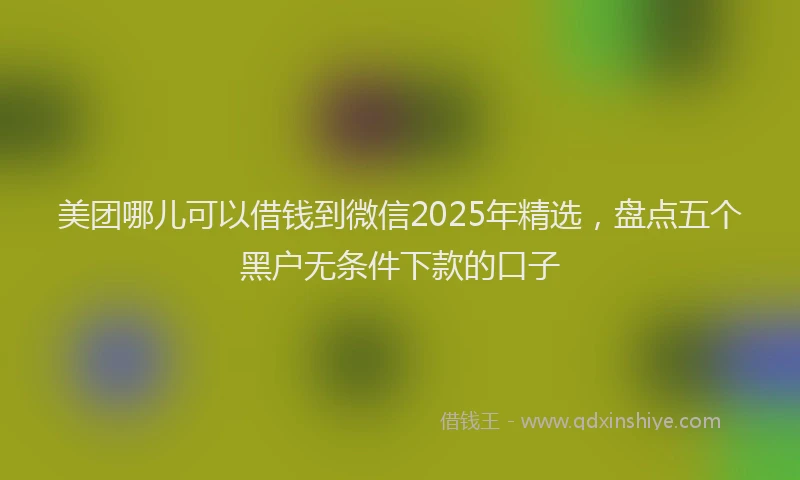 美团哪儿可以借钱到微信2025年精选，盘点五个黑户无条件下款的口子