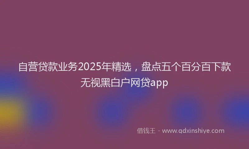 自营贷款业务2025年精选，盘点五个百分百下款无视黑白户网贷app