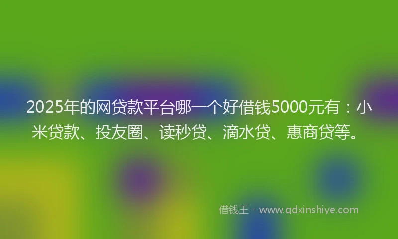 2025年的网贷款平台哪一个好借钱5000元有：小米贷款、投友圈、读秒贷、滴水贷、惠商贷等。