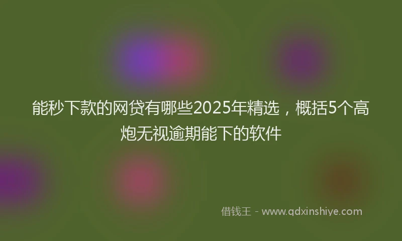 能秒下款的网贷有哪些2025年精选，概括5个高炮无视逾期能下的软件